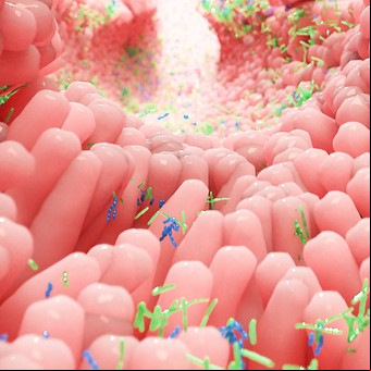 Día Mundial del Microbioma: qué es y por qué es clave cultivarlo los primeros mil días del bebé