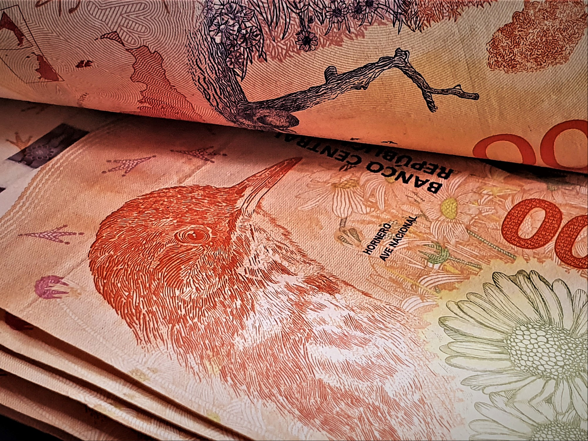 ¿Cuánto paga invertir $1.000.000 a 30 días en Banco Provincia tras la suba de tasas?