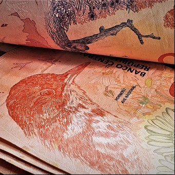 Plazos fijos: cuánto hay que invertir ahora para ganar $ 5.000 o $ 10.000 en 30 días