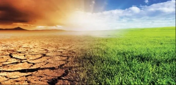 Tecnologías Climatech ¿una oportunidad para los agricultores argentinos?