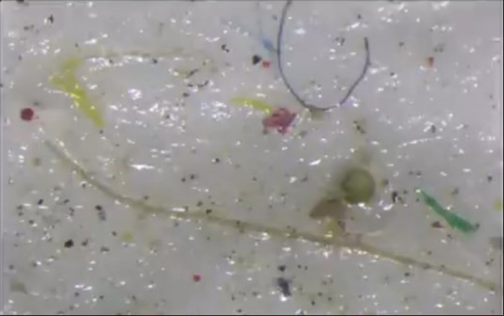 Pequeñas partículas de plástico en la nieve (Captura de video).