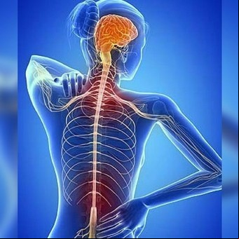 Cómo calmar el sistema nervioso de forma natural