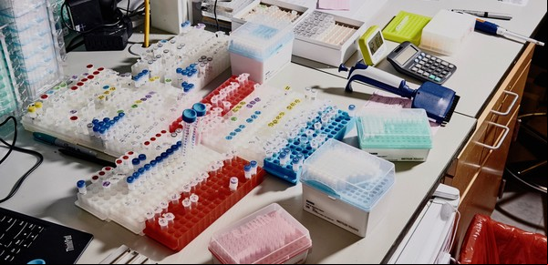Los muchos usos de CRISPR, la edición genética que avanza sobre todo