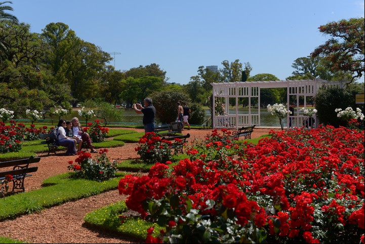 El Rosedal de Palermo, una de las opciones más lindas para tomar fotos en familia./ Foto: Rafael Mario Quinteros.