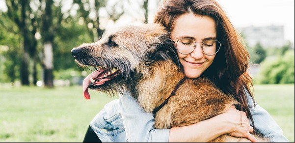 Así se despiden los perros antes de morir: las señales que dan antes de morir