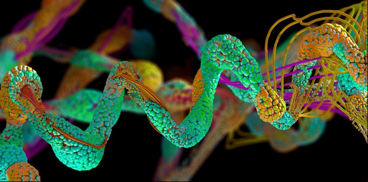 El estudio de Stanford detectó cambios vinculados con la edad en más de 135.000 moléculas y microbios. Foto ilustrativa: Shutterstock