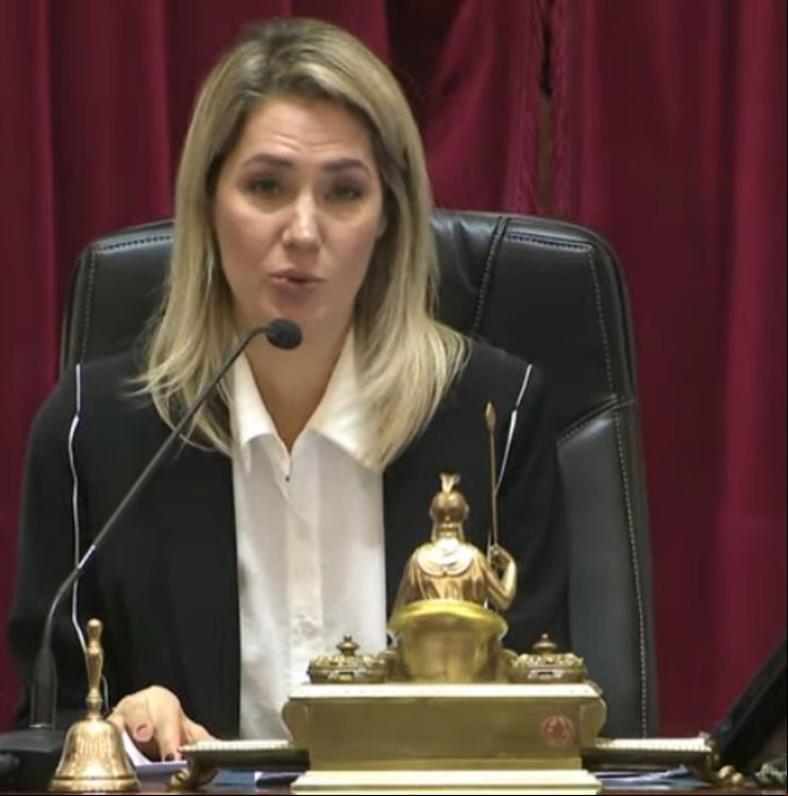 La senadora radical Carolina Losada, preside la sesión en el Senado.