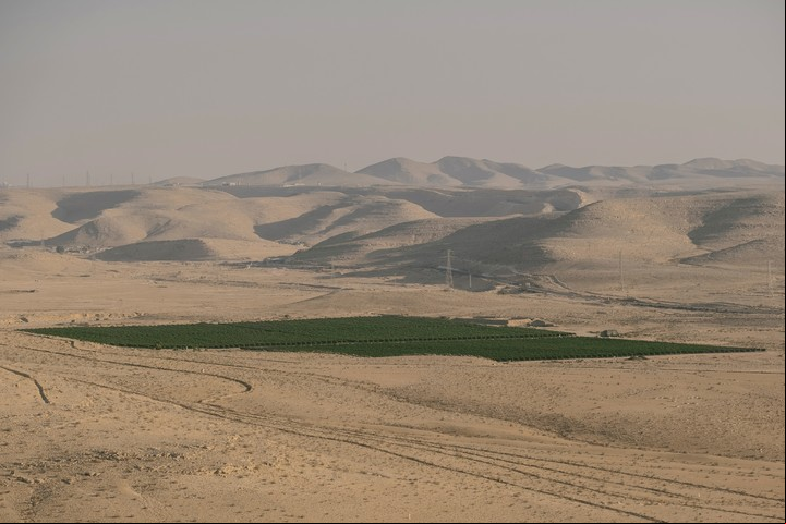 Alrededor de 40 bodegas boutique están dispersas por todo el Negev, sus viñedos de color verde esmeralda salpican el beige intenso paisaje. (Amit Elkayam/The New York Times)
