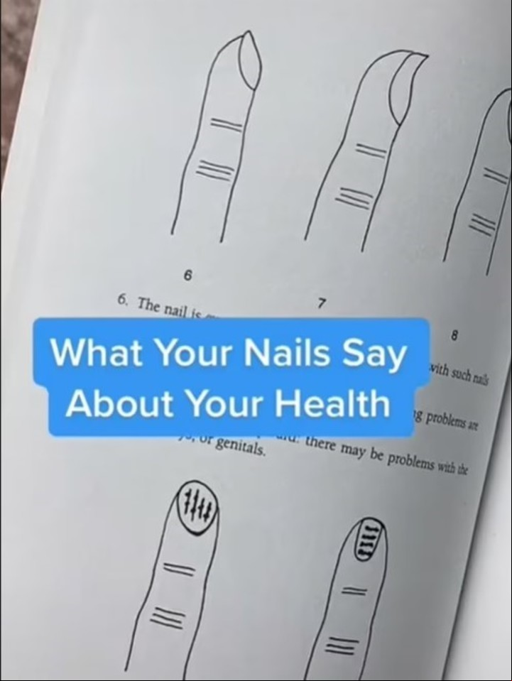 The Eastern Philosophy, una pequeña empresa asiática se especializa en hierbas medicinales. Captura de TikTok