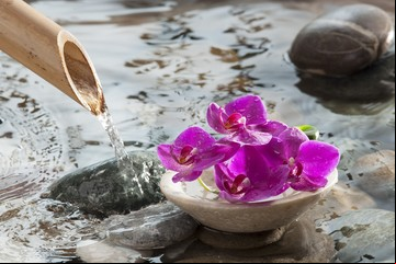 Feng Shui de primavera: limpieza energética del hogar para vitalizar proyectos y emociones
