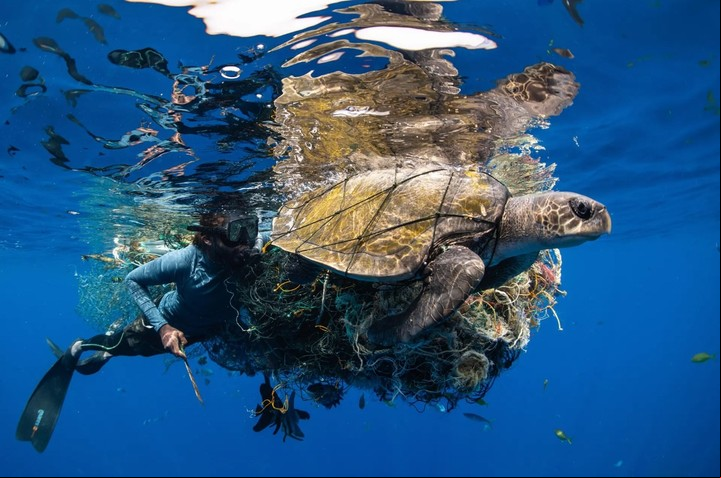 Riviera Maya. El Caribe mexicano. fotografía de Simon Lorenz, Sri Lanka. /Ocean Photographer of the Year 2022