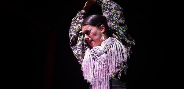 El renacimiento del Flamenco local: un regreso triunfal