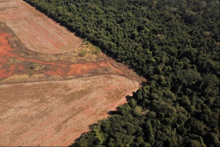 Terrible imagen del Amazonas, uno de los grandes pulmones del mundo. La deforestación de un bosque entre Amazonia y el Cerrado, en Nova Xavantina, estado de Mato Grosso./ 2021./ Imagen tomada con un dron. REUTERS/ Amanda Perobelli.