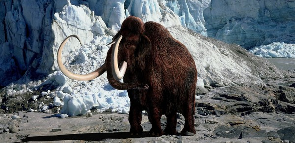 El plan de la ciencia para resucitar al mamut