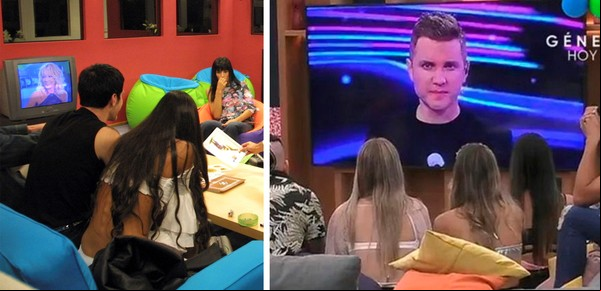 Gran hermano, qué cosas cambiaron en 21 años: ya no está la vaca adentro, pero sí las redes afuera