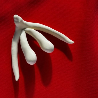 5 curiosidades que no sabías sobre el clítoris: el órgano femenino cuya única función es el placer