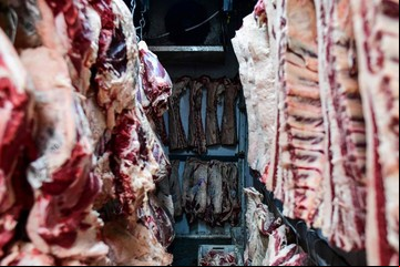 Quinto mes consecutivo de caída en las exportaciones de carne en medio de un mercado internacional con demanda firme y precios en alza