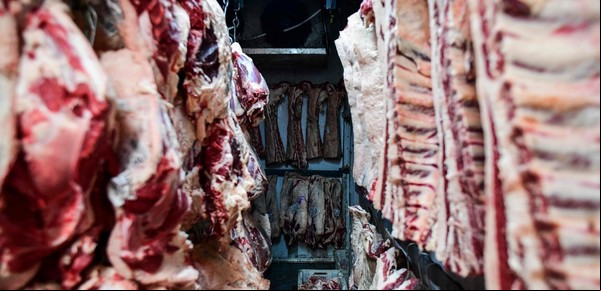 Quinto mes consecutivo de caída en las exportaciones de carne en medio de un mercado internacional con demanda firme y precios en alza