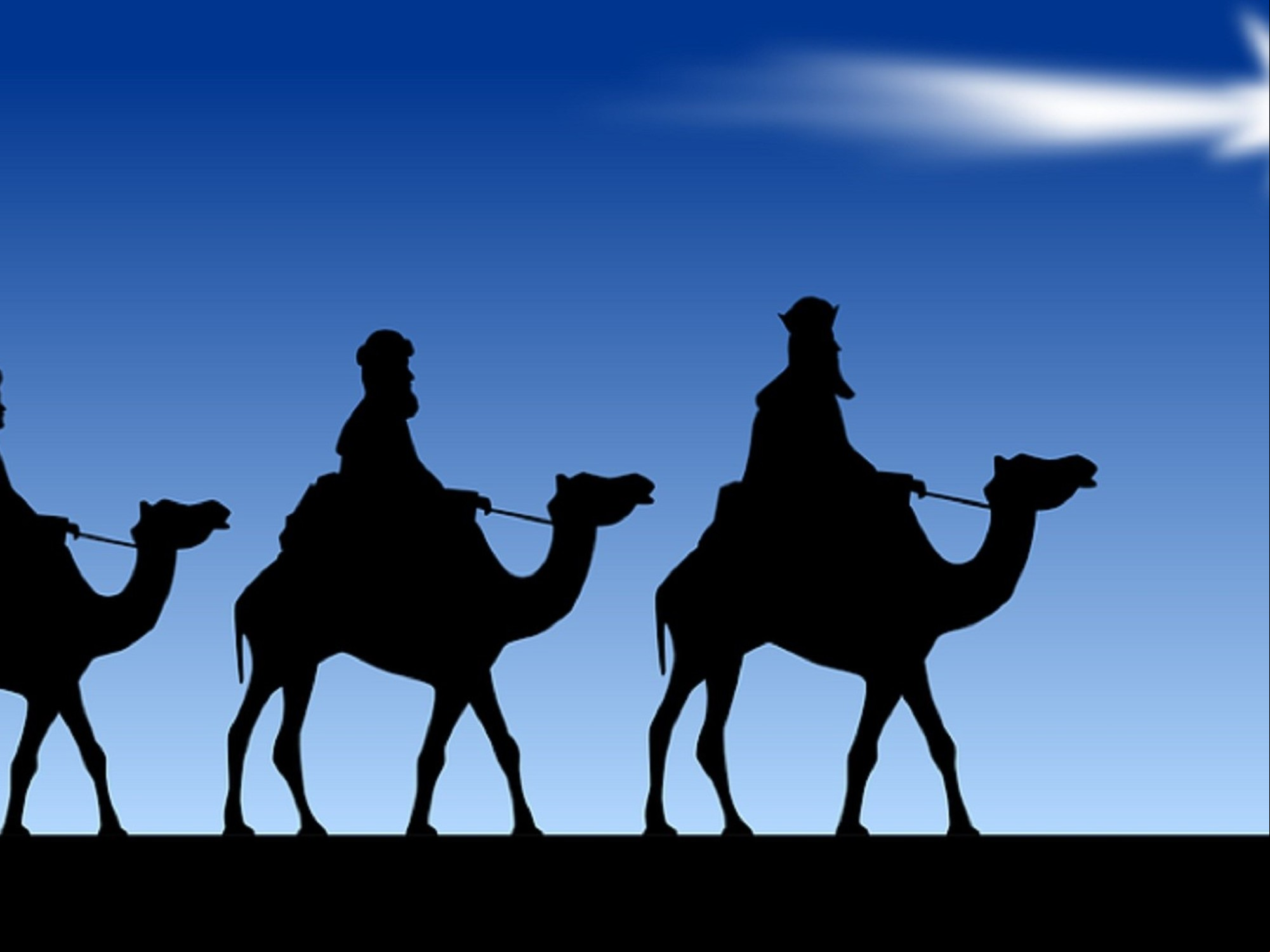 Tras el día de los Reyes Magos /6 de enero), llega el momento de desarmar el árbolito de Navidad hasta el próximo diciembre.