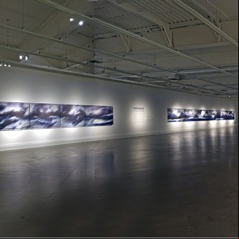 Bedel, gran expo en el Bellas Artes chileno