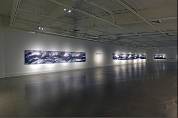Bedel, gran expo en el Bellas Artes chileno