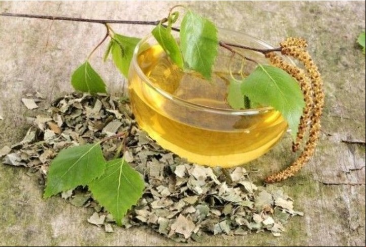 Cómo se prepara la infusión de abedul para adelgazar.