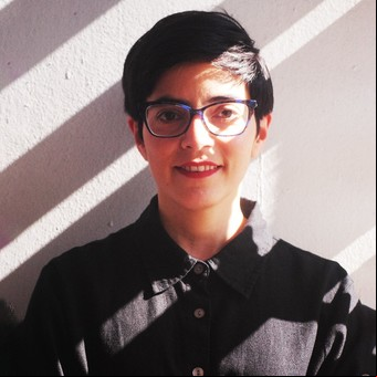 Alia Trabucco Zerán y una voz de entrecasa