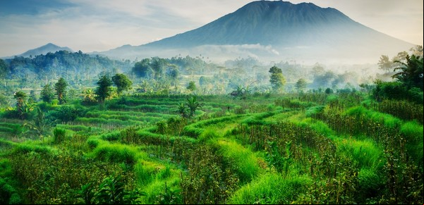 Bali deporta a un turista ruso por posar desnudo frente a un monte sagrado