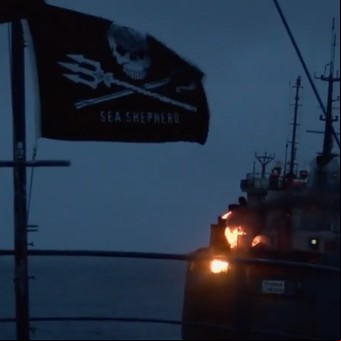 "Oceános sin ley": la serie documental sobre el lugar donde los asesinatos y la esclavitud quedan impunes