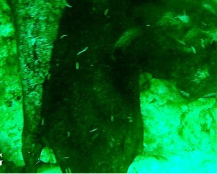 Las primeras imágenes del interior del segundo agujero azul más profundo.