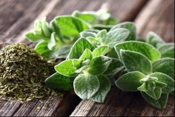 La hierba que ayuda a prevenir enfermedades del corazón, a la digestión y reduce la congestión nasal