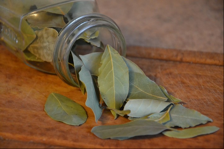 El laurel ayuda a disminuir la ansiedad Foto Pixabay.