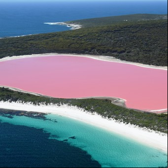 Postales increíbles: 6 lagunas rosas del mundo