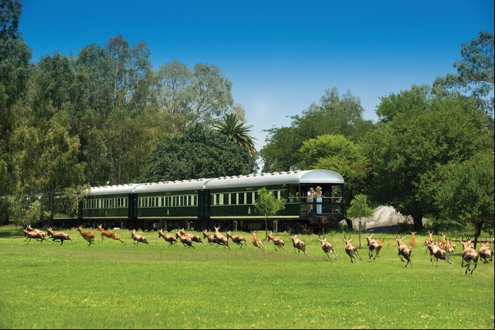 Varios recorridos en África. Foto Rovos Rail