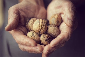 Las mejores y peores dietas para el corazón, según una revisión de expertos