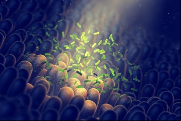Probióticos y prebióticos, más allá del intestino: una nueva guía indica en qué enfermedades aportan beneficios