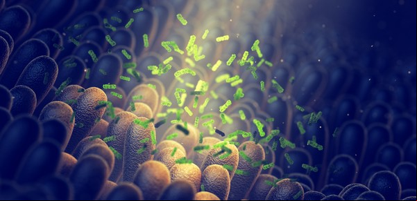 Microbiota intestinal: difunden 10 aspectos poco conocidos