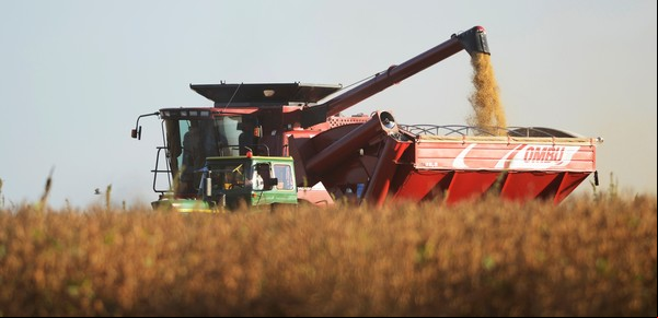 Calculan un aumento en la cosecha de soja por los buenos rindes: ahora se esperan 50 millones de toneladas