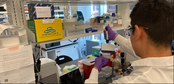 Un rubro clave del sistema de salud advierte que en 20 días podría dejar de atender prepagas y obras sociales 