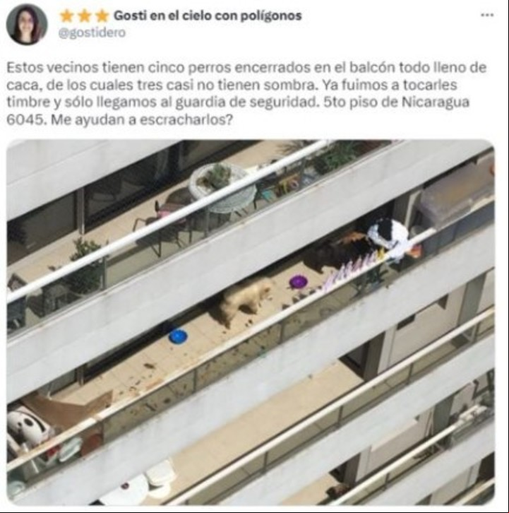 En 2018, ya habían cuestionado a More en las redes por dejar a sus perros en un balcón y al sol.