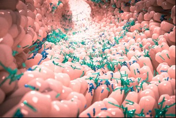 Microbiota intestinal: 8 factores que la afectan y qué comer para mantenerla sana