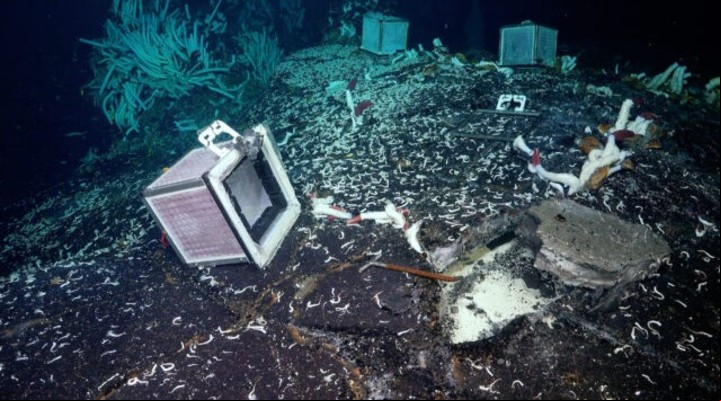 El experimento de la caja de malla (ROV SuBastian/Schmidt Ocean Institute/CC BY-NC-SA).