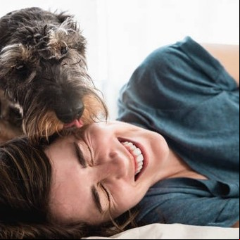 Las increíbles razones por la que los perros lamen a las personas 