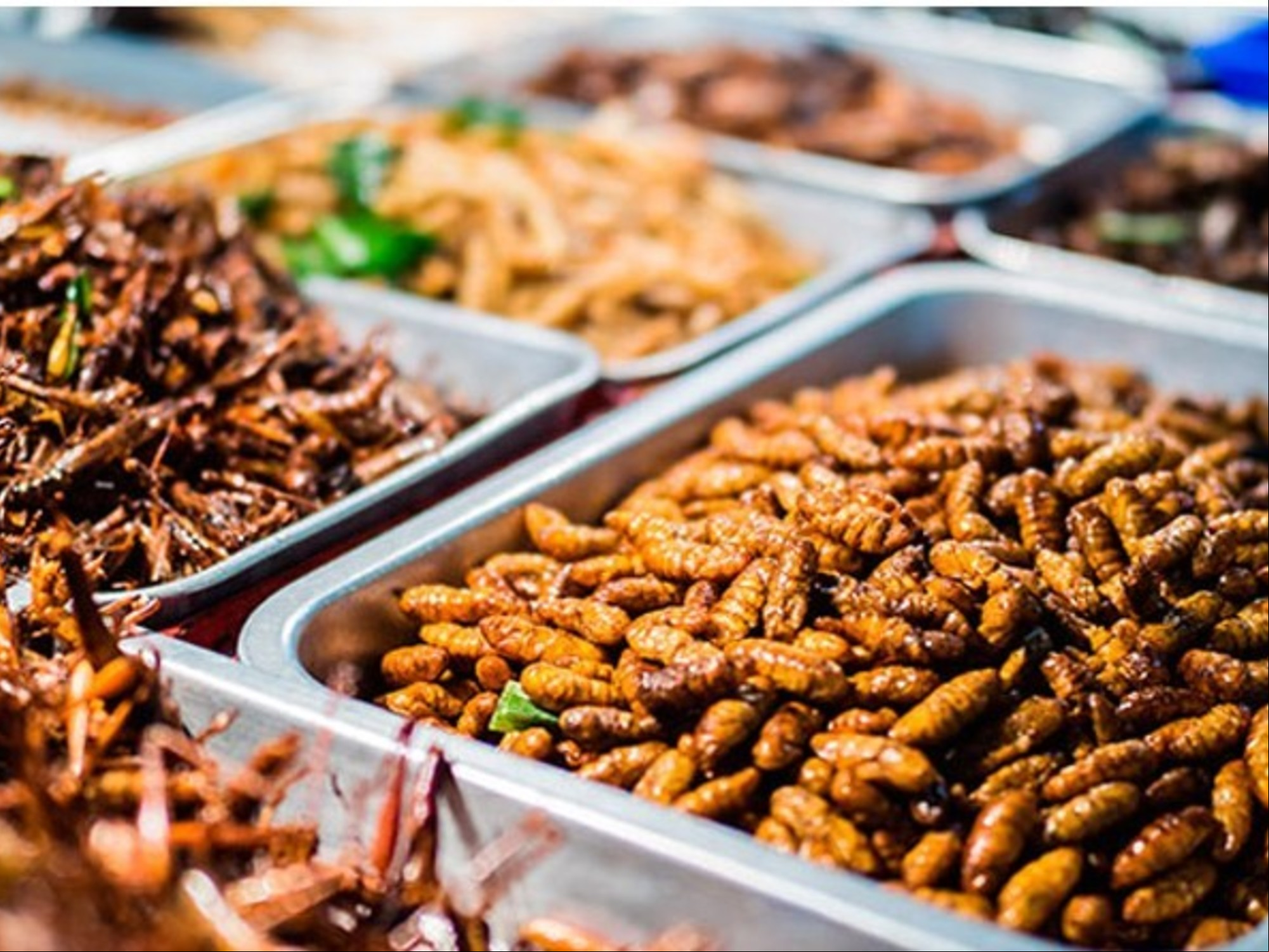 Comer insectos, algo cada vez más frecuente en algunos países.
