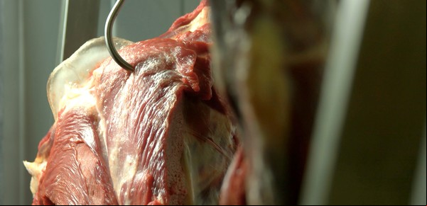 China importó el 69% del total: en cuatro meses ingresaron casi US$ 1.000 millones por las exportaciones de carne