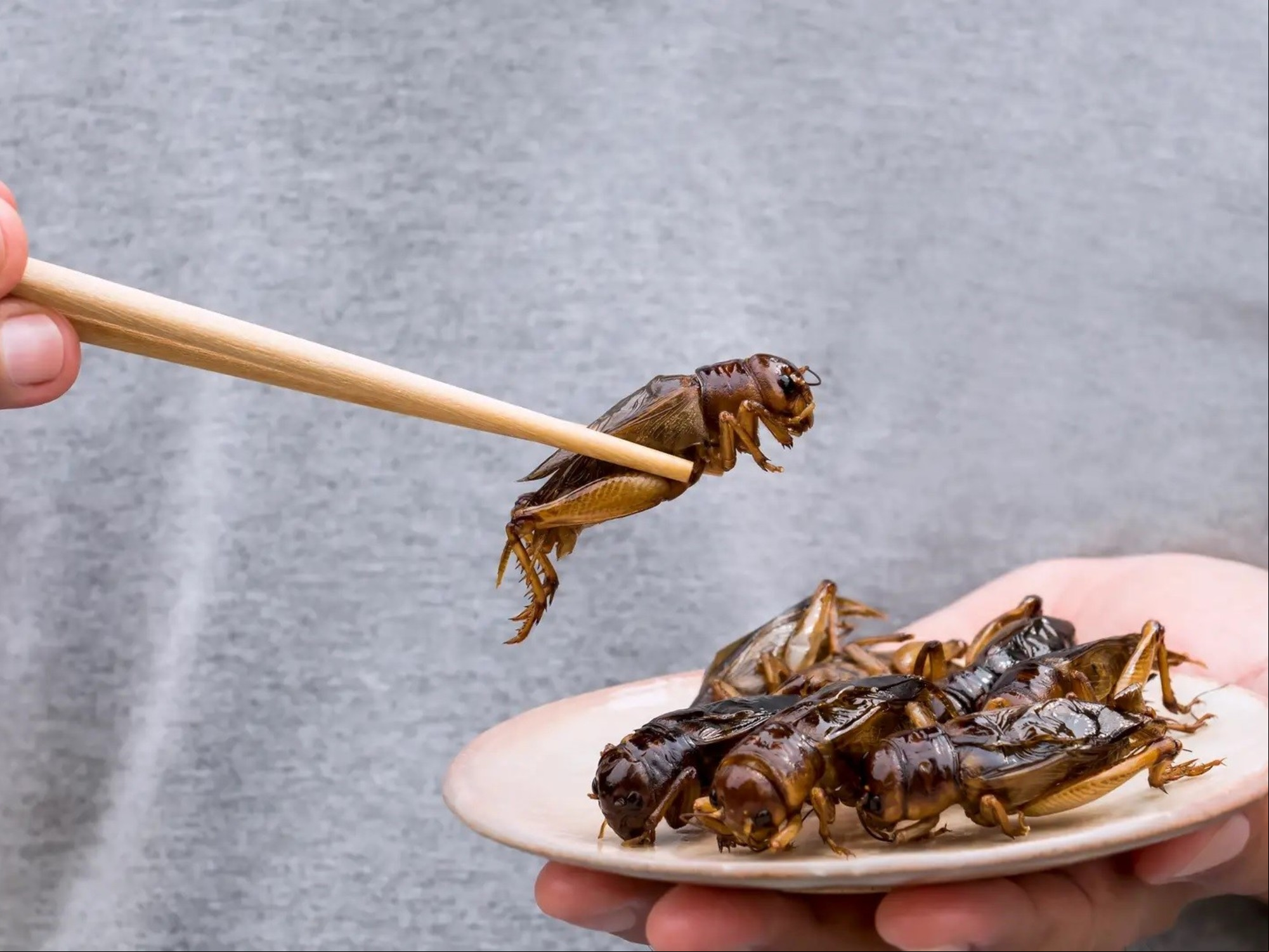Cuál es el alimento menos consumido en el mundo
