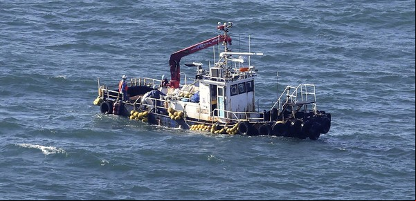 Fukushima: Japón comenzó a verter el agua contaminada al mar a pesar de las protestas