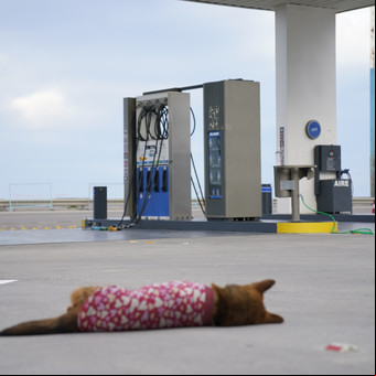 Comodoro Rivadavia: el drama de los negocios que quedaron aislados por el colapso de la ruta 3