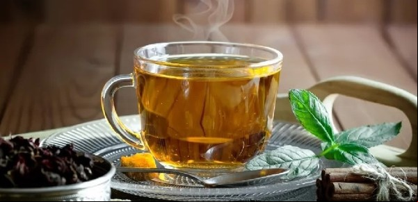 Té de boldo: propiedades para perder peso y limpiar el hígado