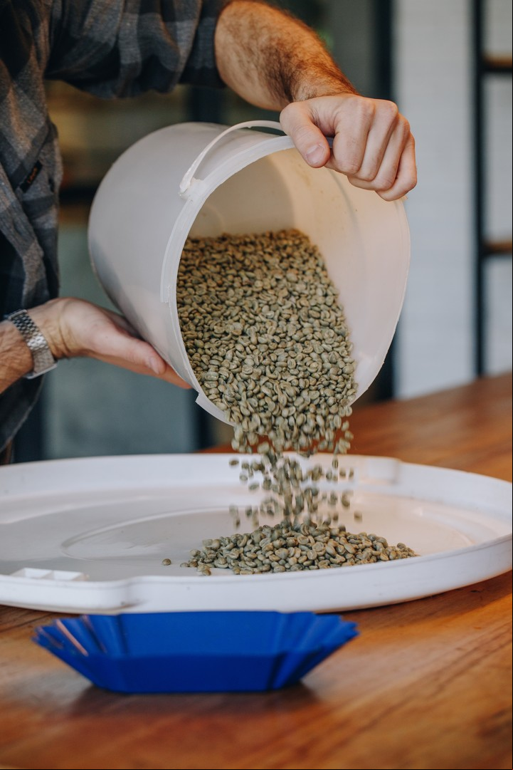 Granos verdes, en Ninina. A más consumidores les importa hoy el origen del café que consumen.